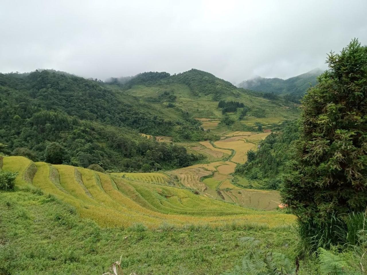 Bac Ha Charm Stay Extérieur photo