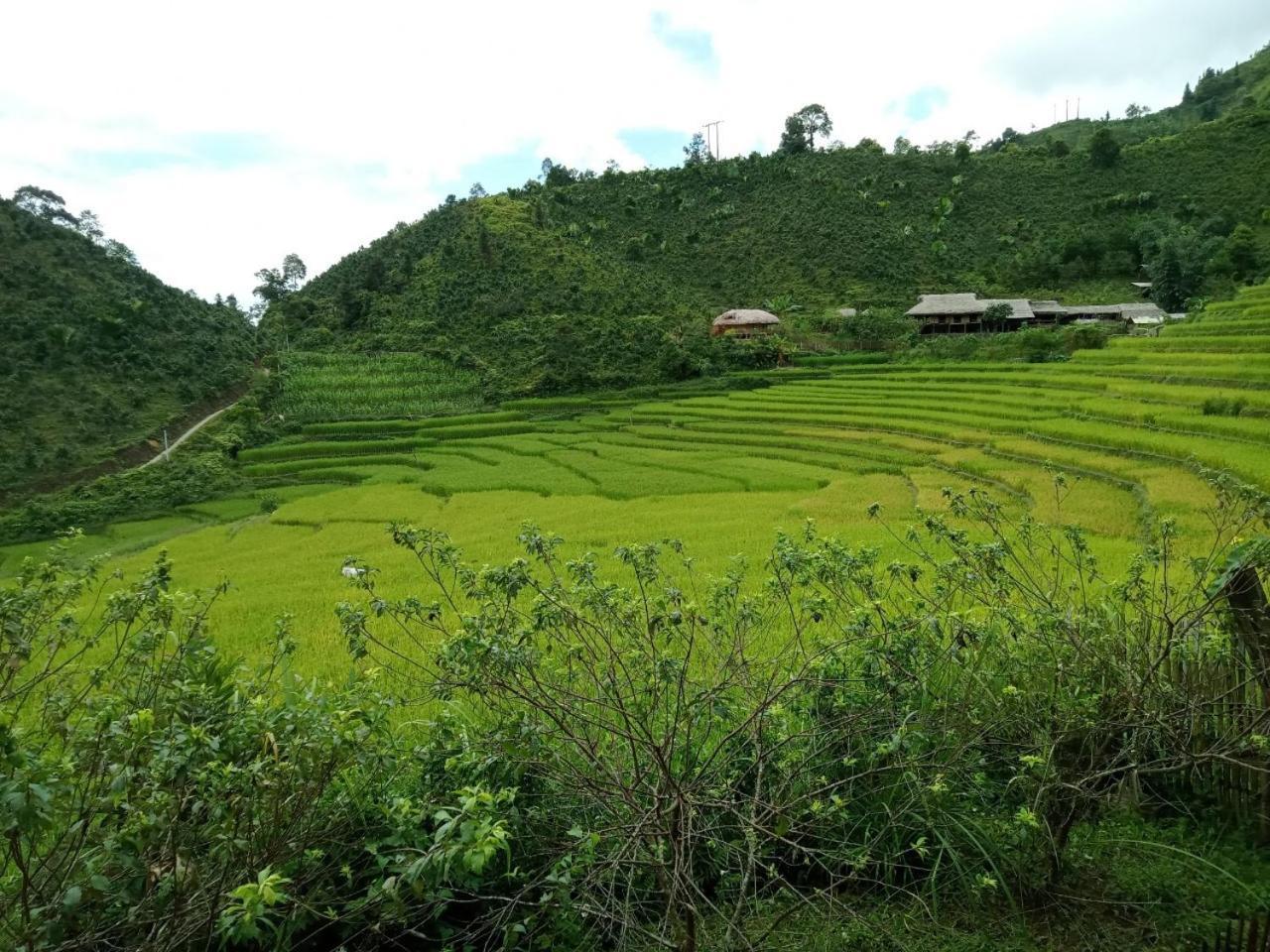 Bac Ha Charm Stay Extérieur photo
