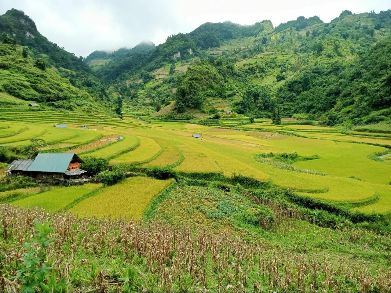 Bac Ha Charm Stay Extérieur photo