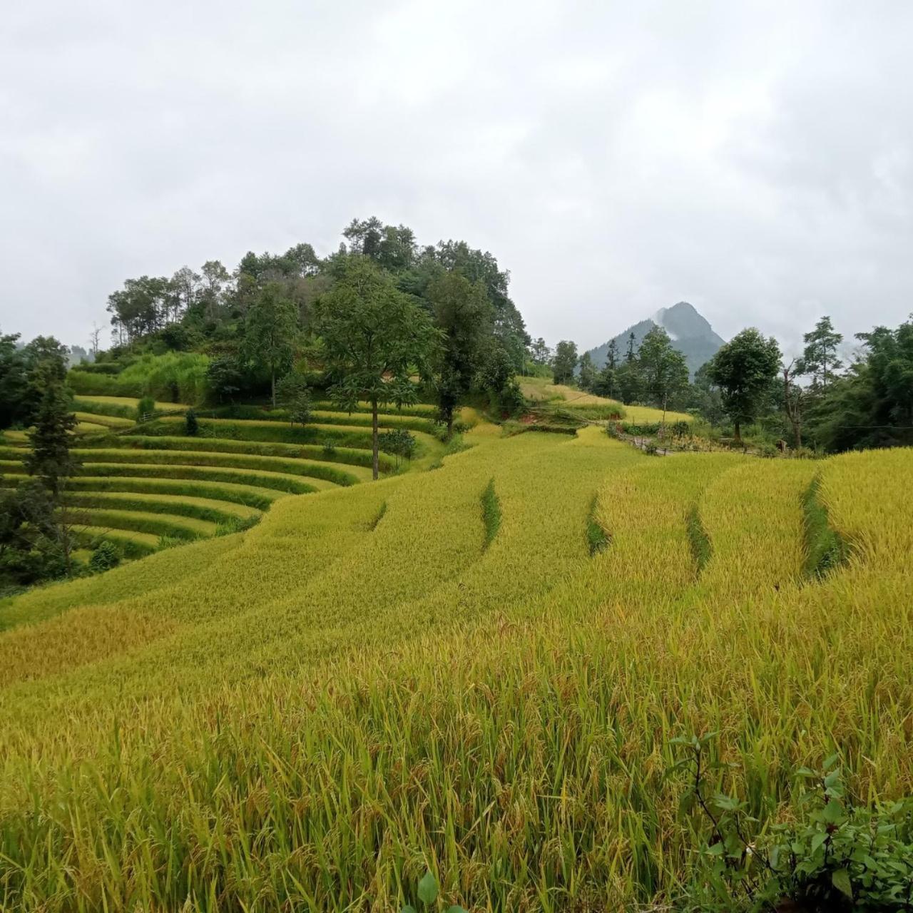 Bac Ha Charm Stay Extérieur photo