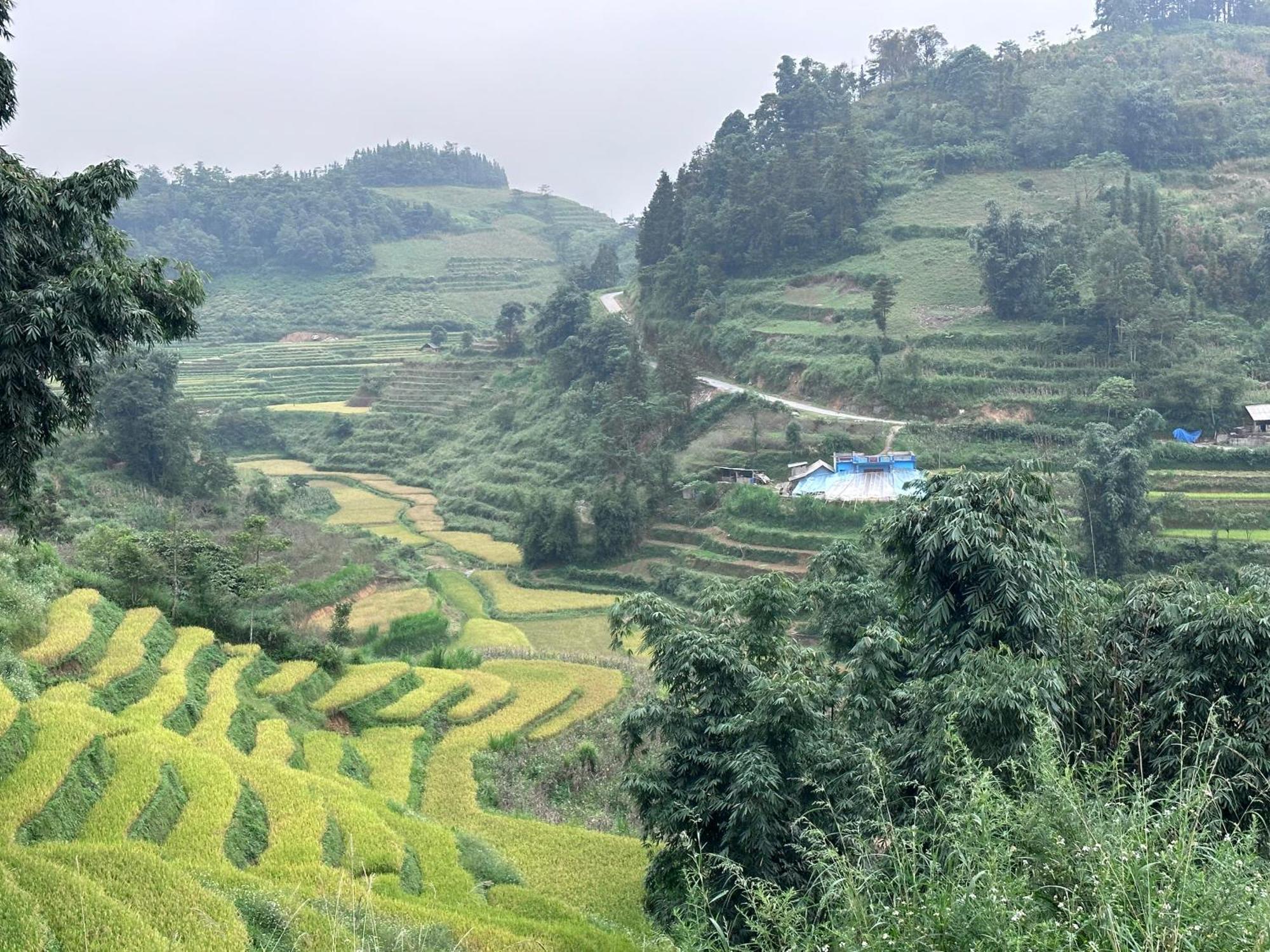 Bac Ha Charm Stay Extérieur photo
